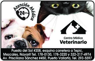 Centro medico veterinario paraiso dise%c3%b1o