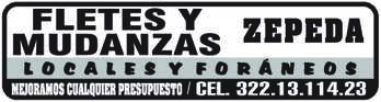 Mudanza zepeda dise%c3%b1o