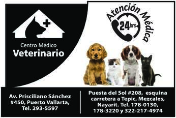 Centro medico veterinario paraiso dise%c3%b1o