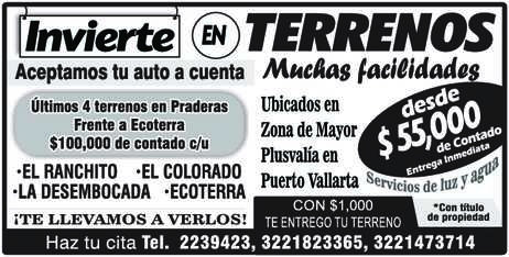 Ana bertha rodriguez dise%c3%b1o2