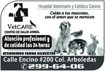 Veterianaria vet care dise%c3%b1o