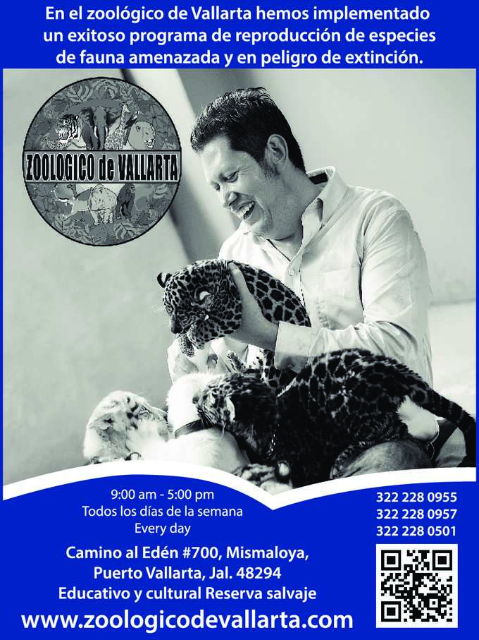 Veh%c3%8dculos portada zoolog%c3%8dco