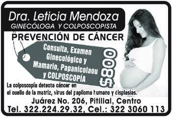 Dra martha leticia mendoza dise%c3%b1o