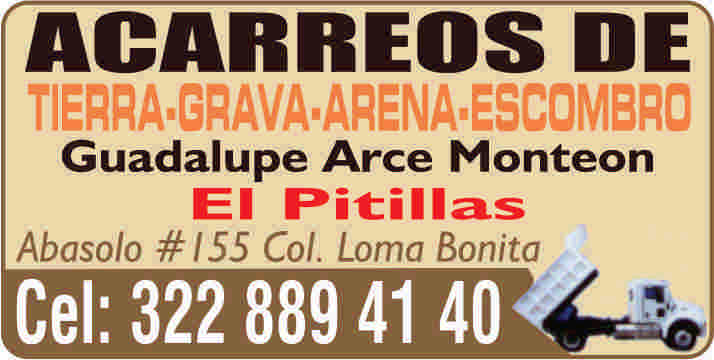 Rosa arce dise%c3%b1o