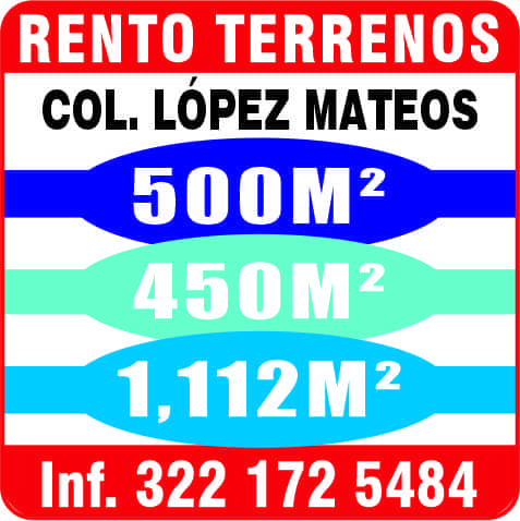 Inmobiliaria gonzalez torres disen%cc%83o