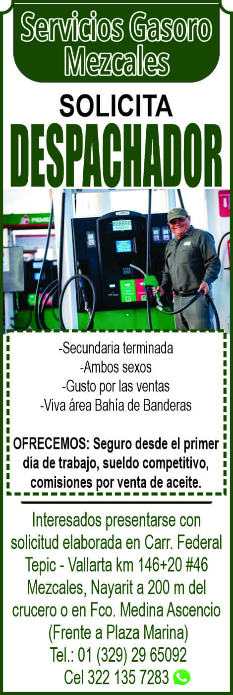 Servicios gasoro disen%cc%83o