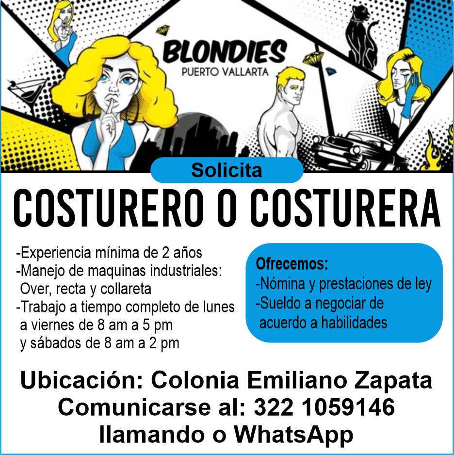 Blondies dise%c3%b1o