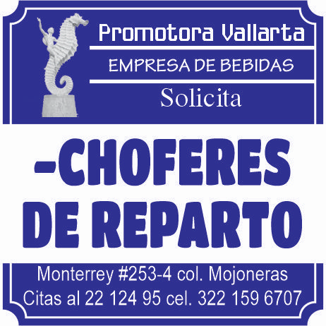 Promotora vallarta dise%c3%91o