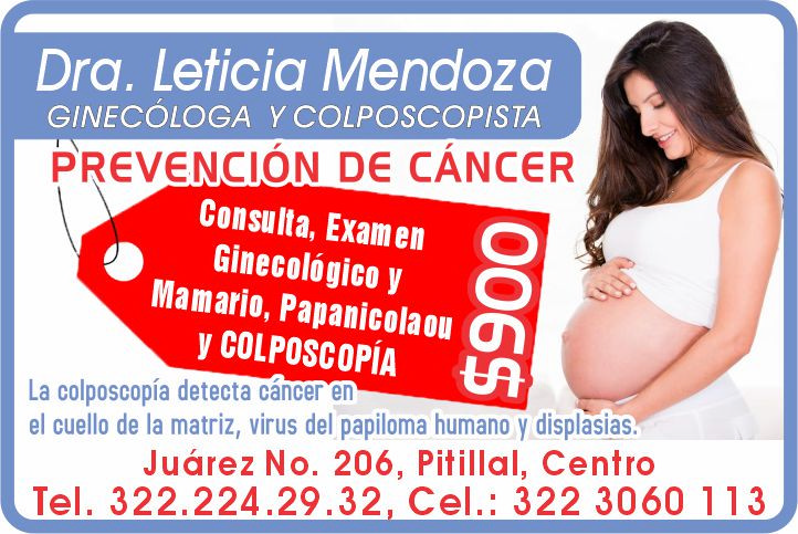 Dra martha leticia mendoza dise%c3%b1o