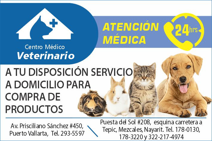 Centro medico veterinario paraiso dise%c3%b1o