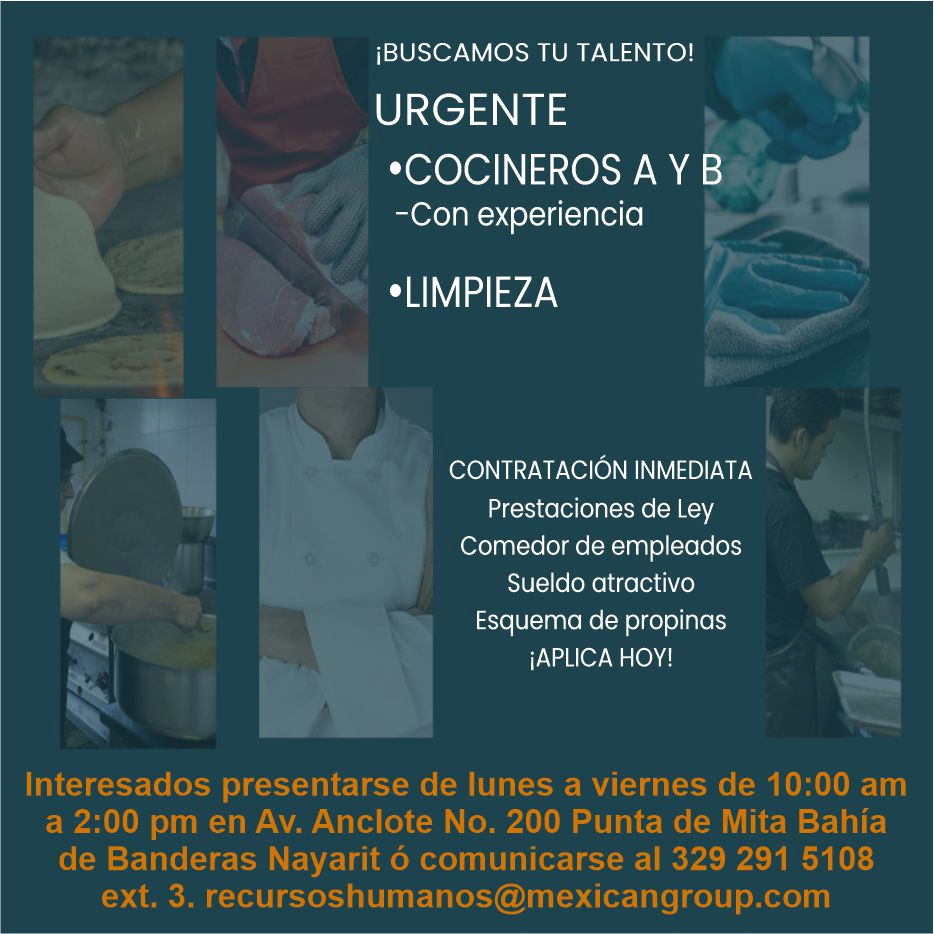 Corporativo de mita dise%c3%b1o