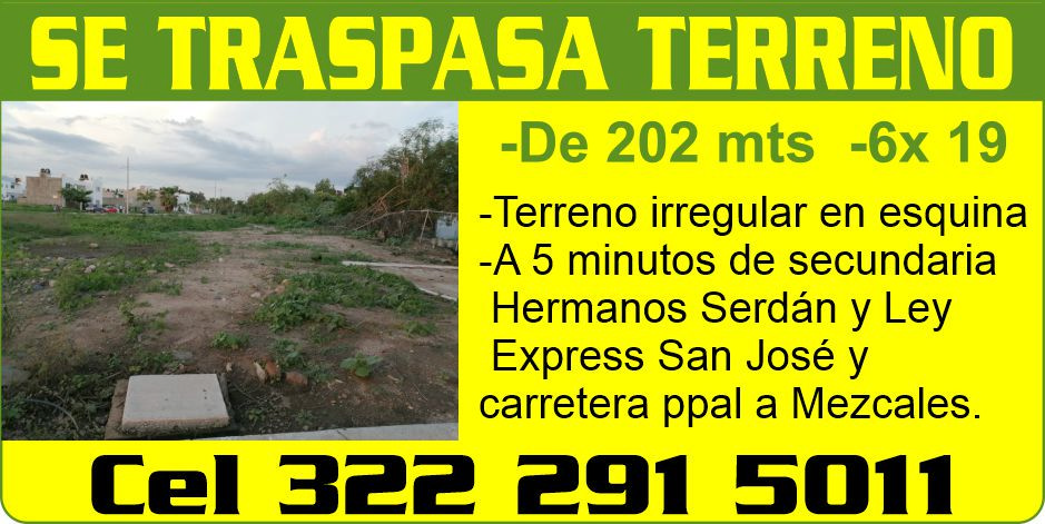 Apoyo social dise%c3%91o