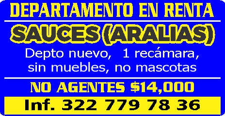 Norma ruiz dise%c3%b1o