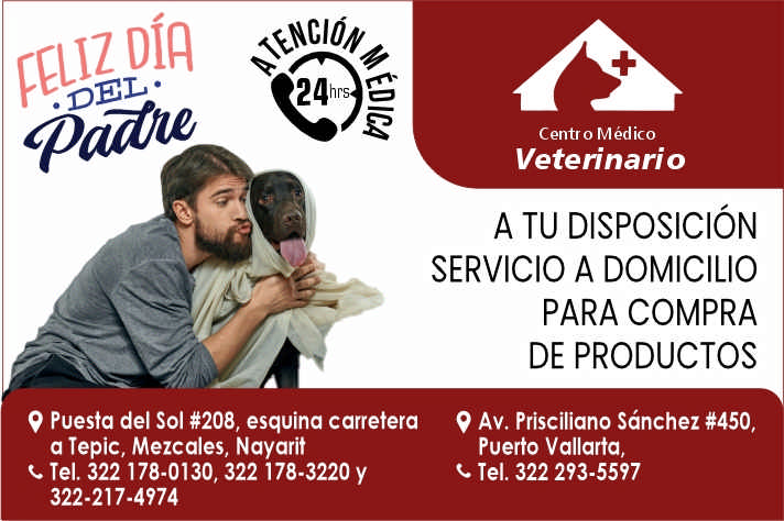 Centro medico veterinario paraiso dise%c3%b1o