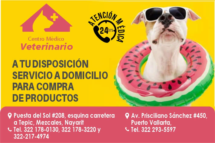 Centro medico veterinario paraiso dise%c3%b1o