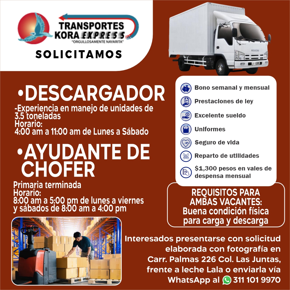 Transportes kora express dise%c3%b1o
