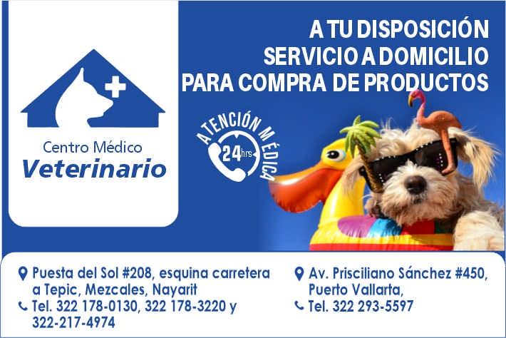 Centro medico veterinario paraiso dise%c3%b1o