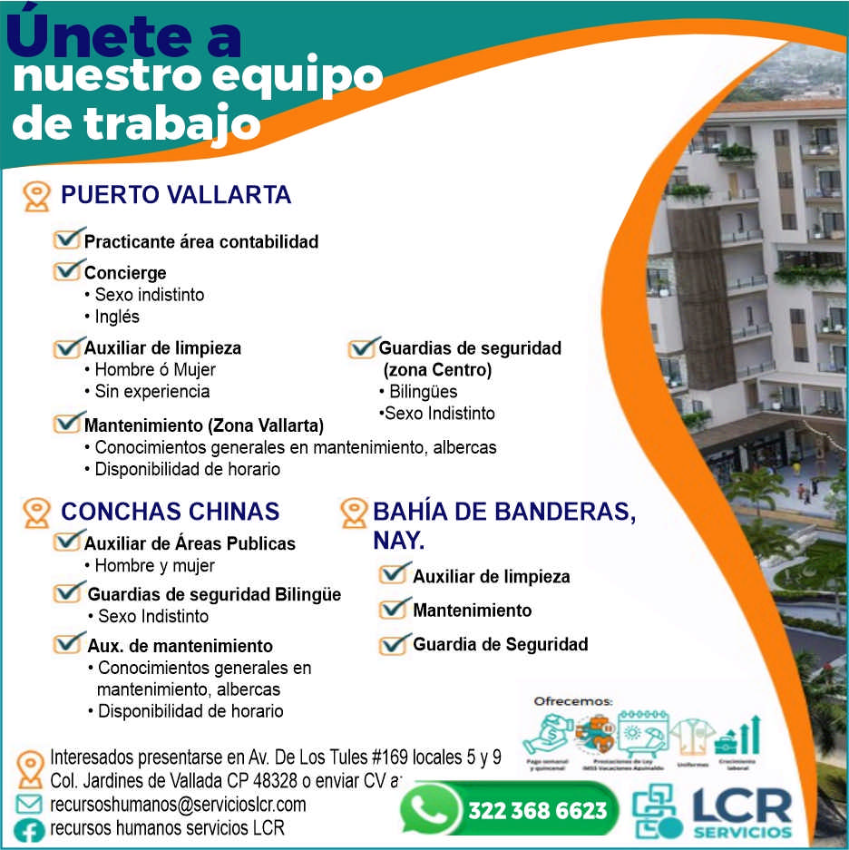 Servicios ilc dise%c3%b1o