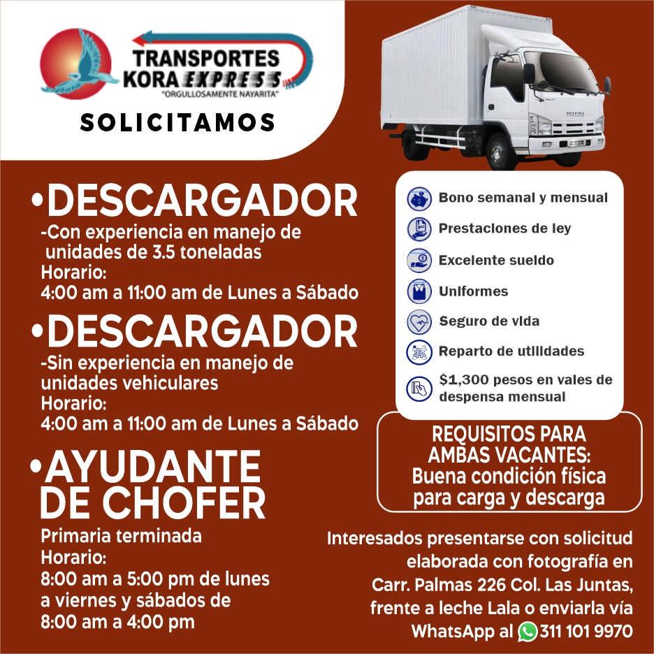 Transportes kora express dise%c3%b1o