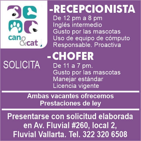 Veterinaria can y cat dise%c3%91o