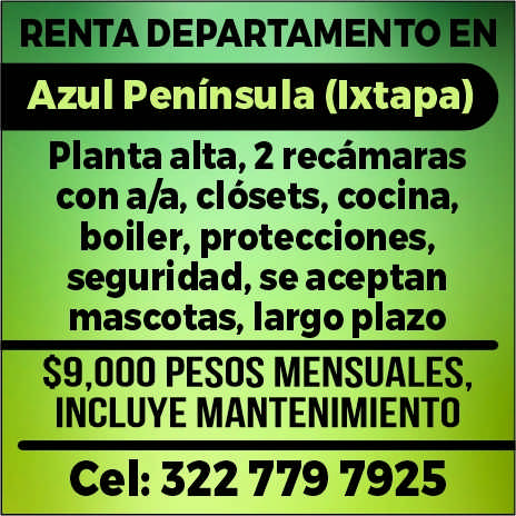 Anel pantoja dise%c3%b1o