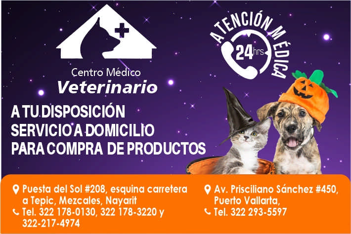 Centro medico veterinario paraiso dise%c3%b1o
