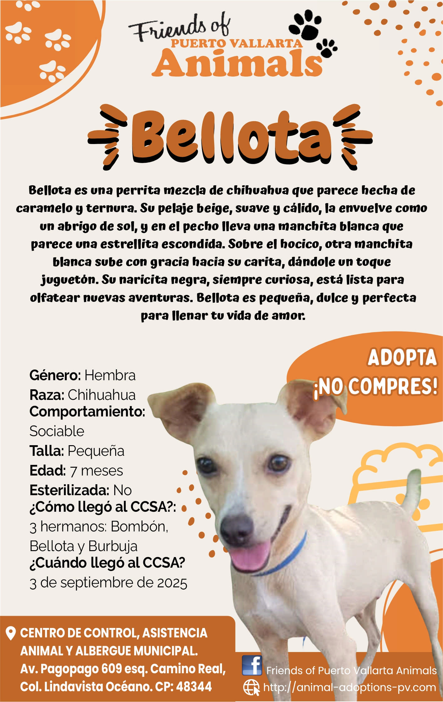 Friends of animals