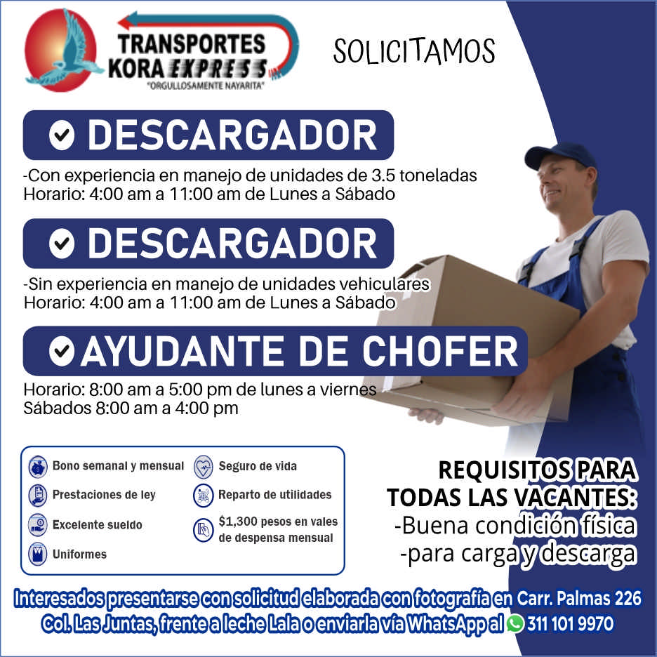 Transportes kora express dise%c3%b1o