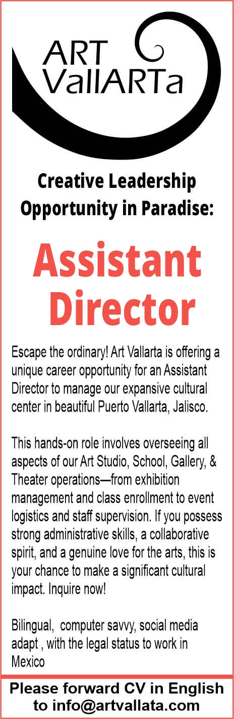 Art vallarta museo dise%c3%b1o