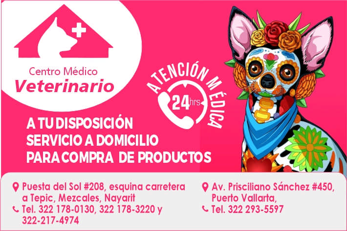 Centro medico veterinario paraiso dise%c3%b1o