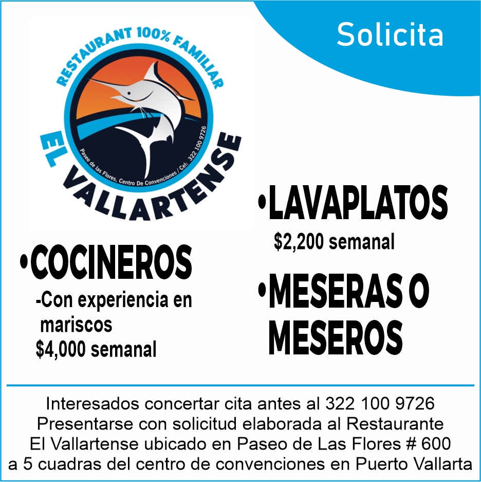 El vallartense dise%c3%b1o