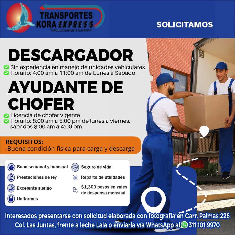 Transportes kora express dise%c3%b1o