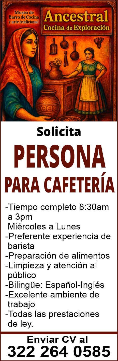 Art vallarta museo dise%c3%b1o