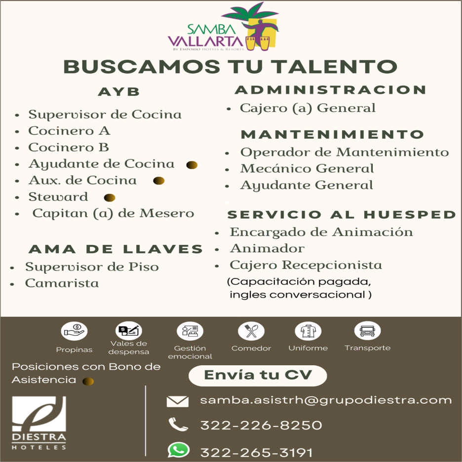 Hotel samba dise%c3%b1o