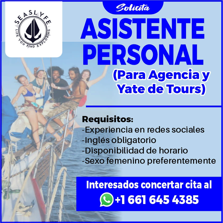 John smith dise%c3%b1o