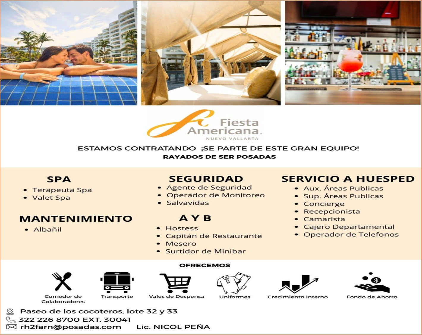 Hotel fiesta nuevo vallarta dise%c3%b1o