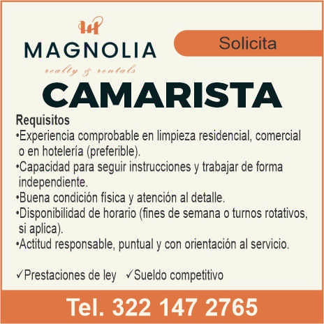 Magnolia dise%c3%91o