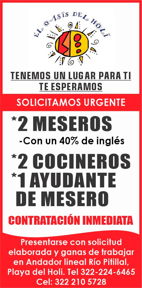 Oasis del holi dise%c3%91o