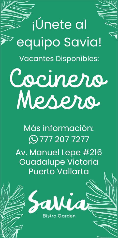 Padel 233 dise%c3%b1o