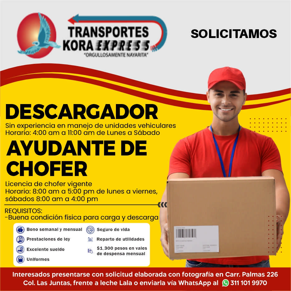 Transportes kora express dise%c3%b1o