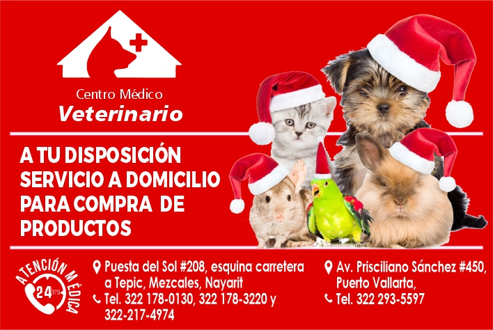 Centro medico veterinario paraiso dise%c3%b1o