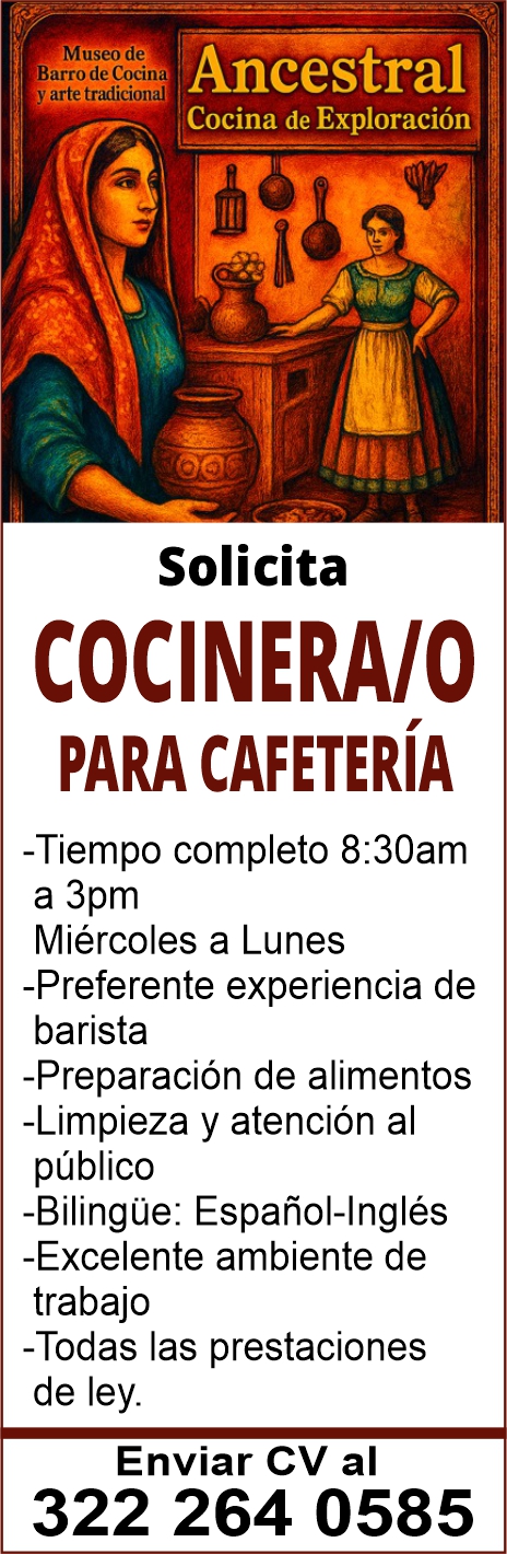 Art vallarta museo dise%c3%b1o2