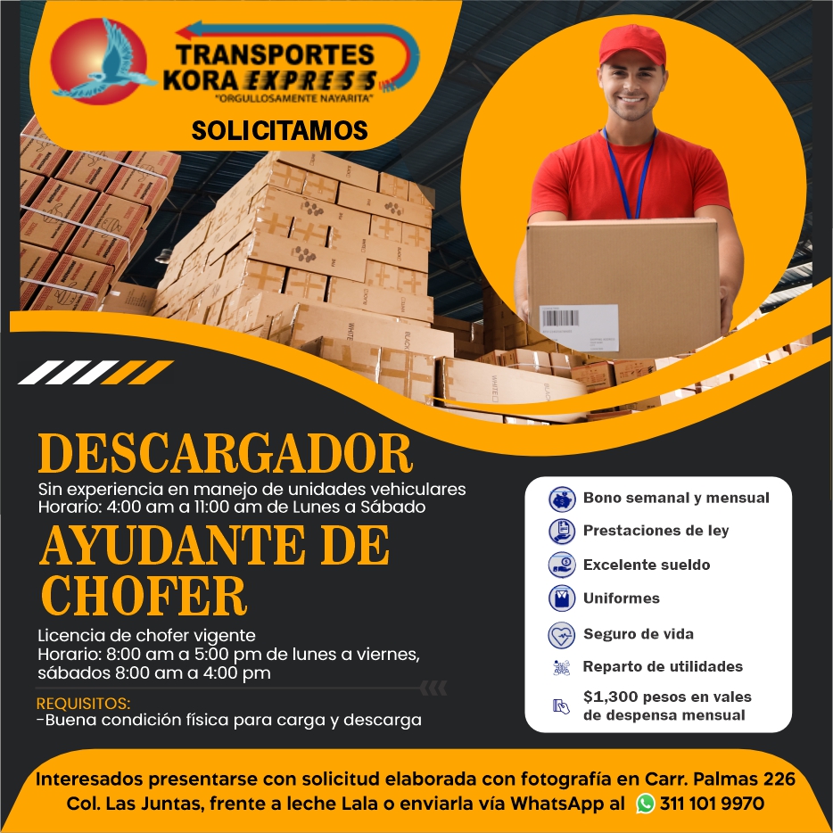Transportes kora express dise%c3%b1o