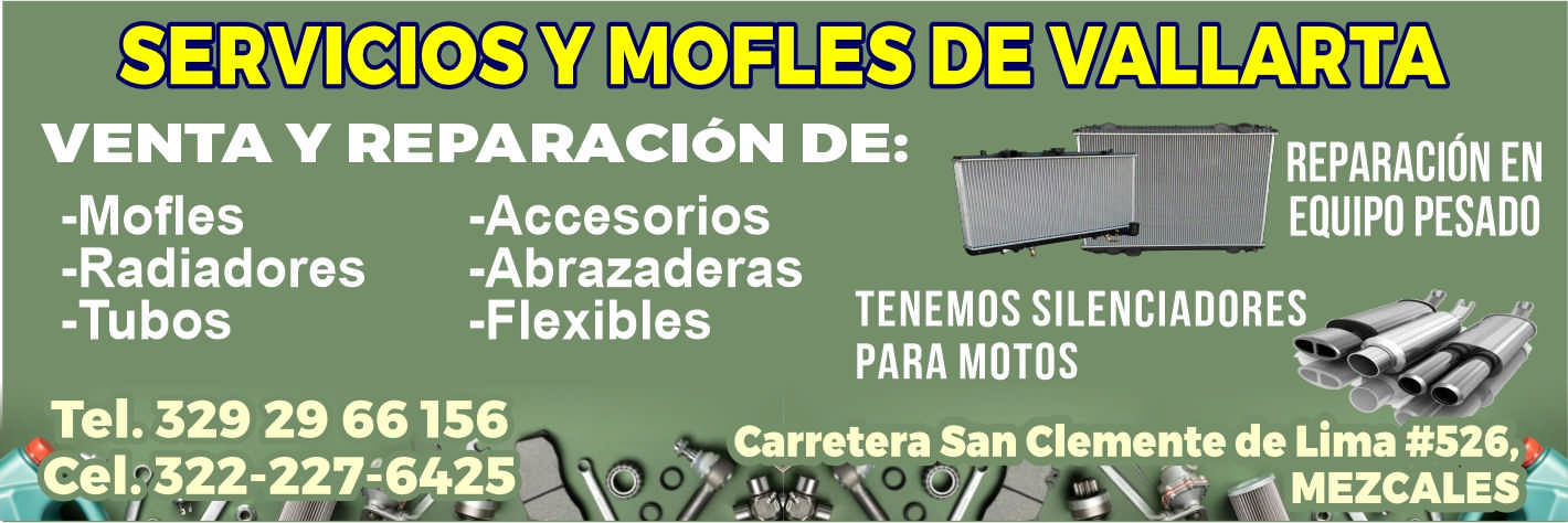 Servi mofles vallarta dise%c3%b1o