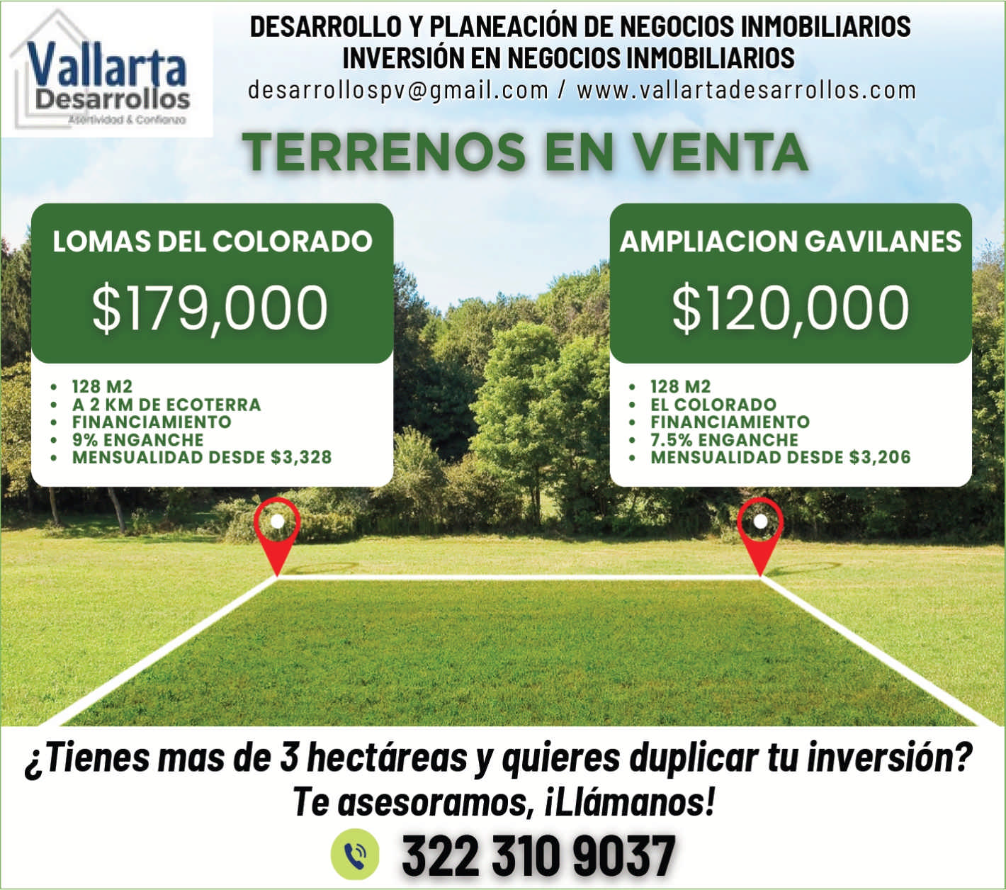Vallarta solutions dise%c3%b1o