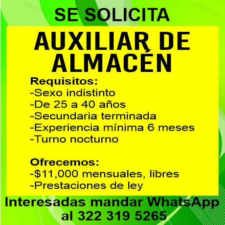 Efigente dise%c3%b1o