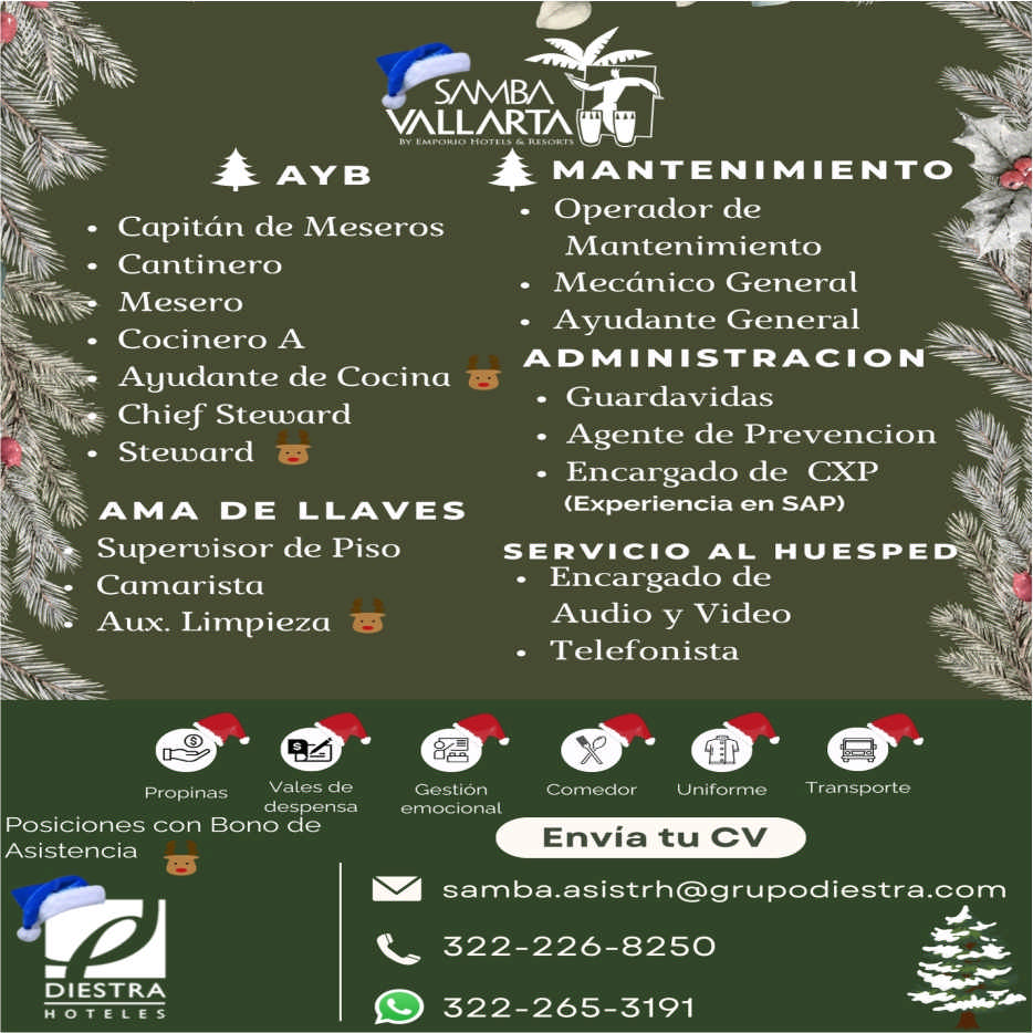 Hotel samba dise%c3%b1o