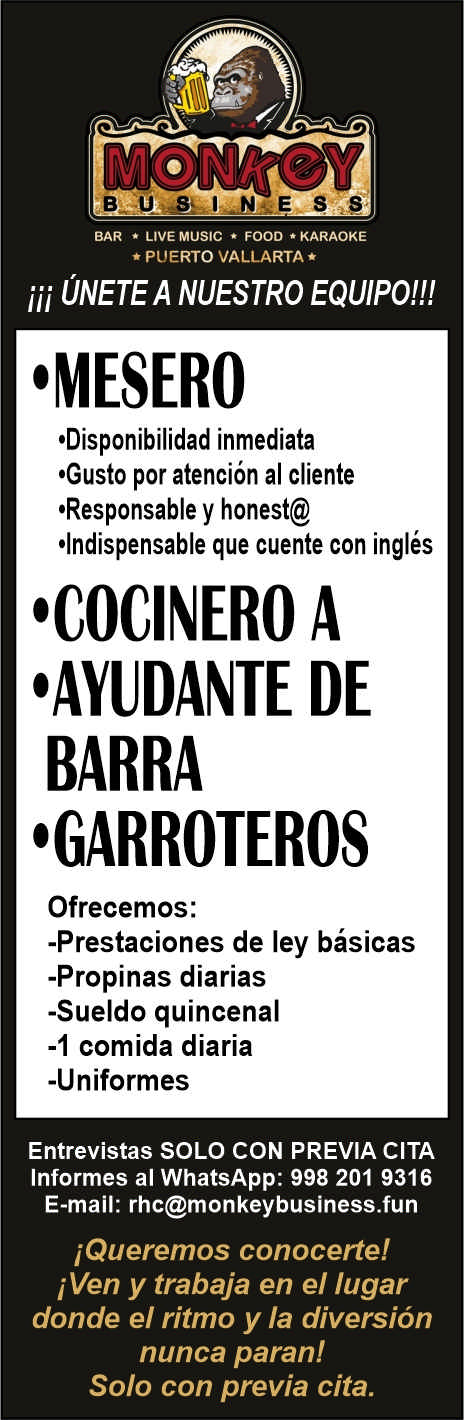 Monkey business dise%c3%b1o