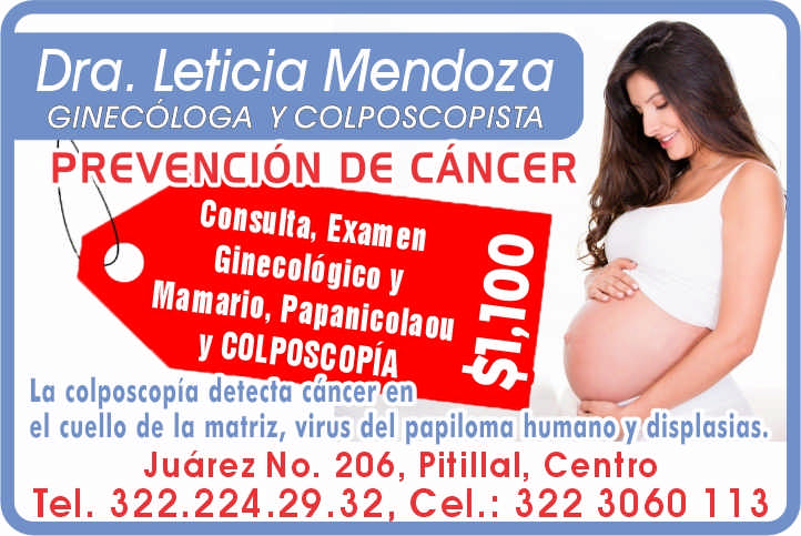 Dra martha leticia mendoza dise%c3%b1o