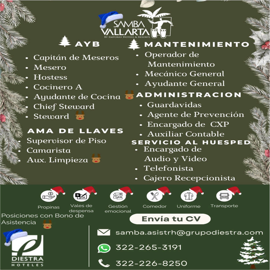 Hotel samba dise%c3%b1o